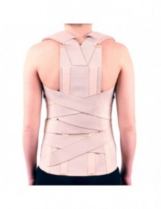 Faja Dorsolumbar Alta