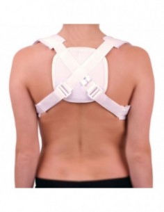 Inmovilizador de Clavícula